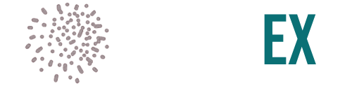 Style EX